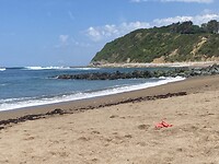 IMG_9470