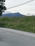IMG_9495