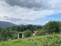 IMG_9497