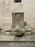IMG_9503