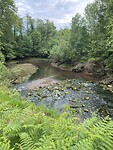 IMG_9520
