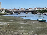 IMG_9528
