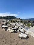 IMG_9589