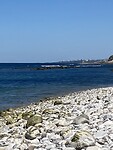 IMG_9597