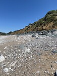 IMG_9598
