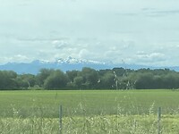 IMG_9619