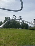 IMG_9639