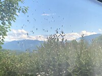 IMG_9658