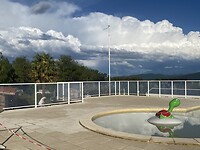 IMG_9665