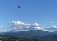 IMG_9666