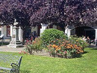 IMG_9720