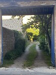IMG_9765