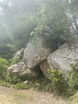 IMG_9790
