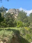 IMG_9792