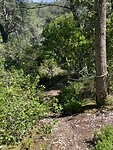 IMG_9887
