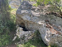 IMG_9889