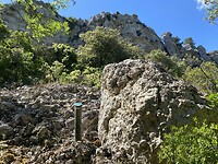 IMG_9890