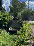 IMG_9900