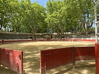 IMG_9974