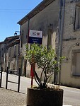 IMG_9989
