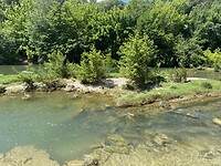 IMG_9996