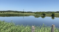 IMG_0068