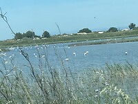 IMG_0175
