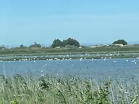 IMG_0178