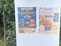 IMG_0240