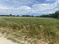 IMG_0310