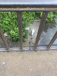 IMG_0342