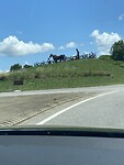 IMG_0355