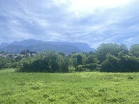 IMG_0390