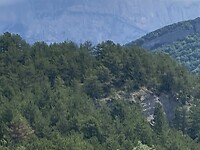 IMG_0404