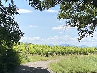 IMG_0402