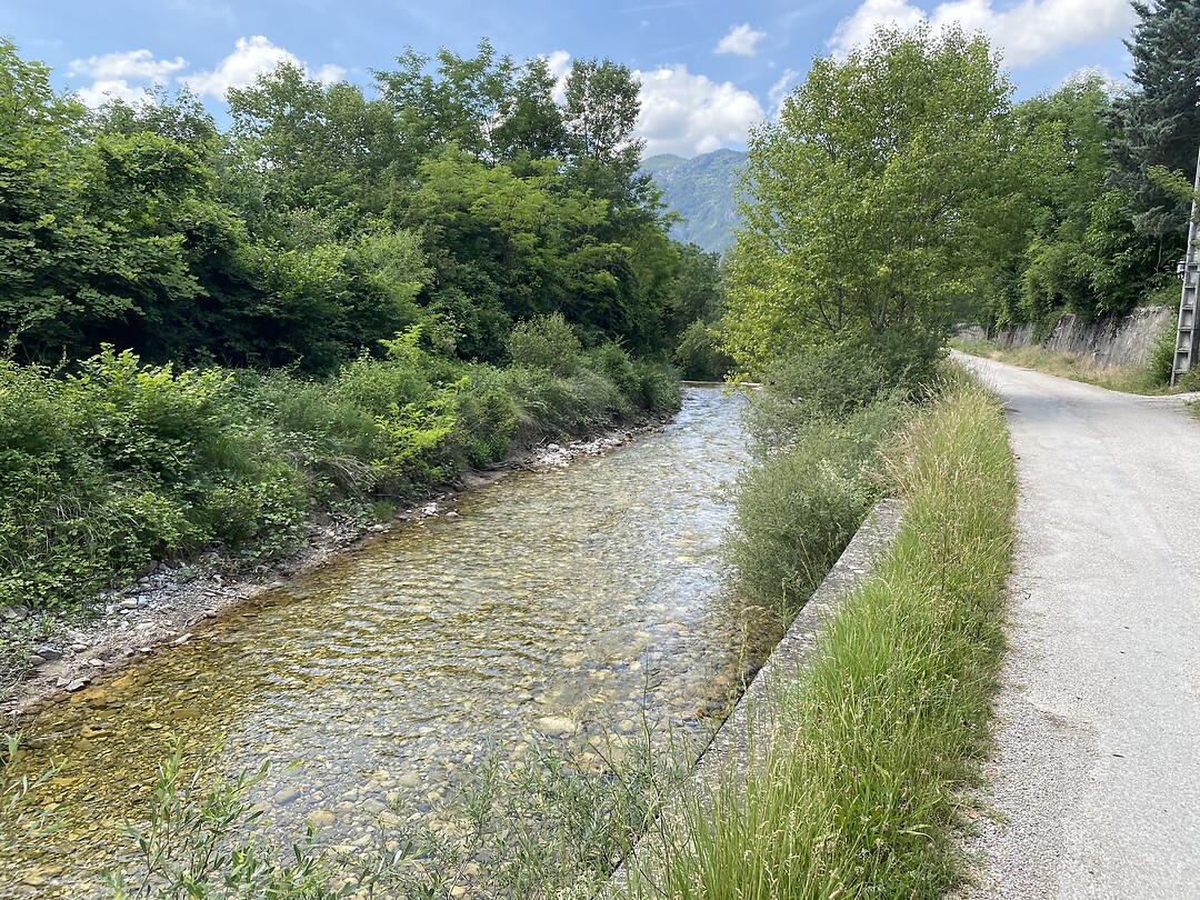 IMG_0409