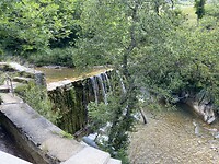 IMG_0411