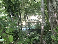 IMG_0416