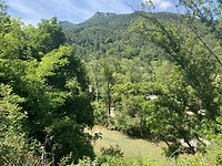 IMG_0418