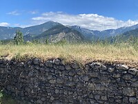 IMG_0420