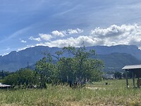 IMG_0421