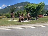 IMG_0423