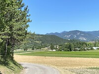 IMG_0455