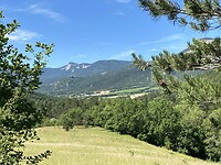IMG_0458