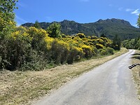 IMG_0461
