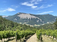IMG_0462