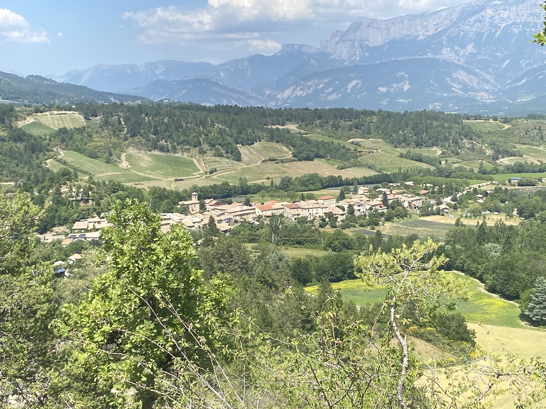 IMG_0508