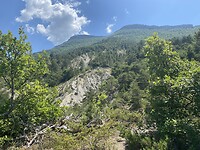 IMG_0511