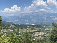 IMG_0513
