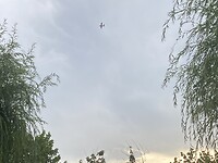 IMG_0583